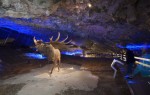Cueva de Avín