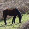 DSC03470.jpg