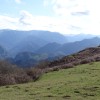 DSC03473.jpg