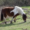 DSC03476.jpg