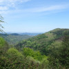 DSC03595.jpg