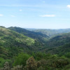 DSC03620.jpg