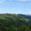 DSC03621.jpg