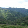 DSC03637.jpg