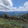 PXL_20230506_145311540.jpg