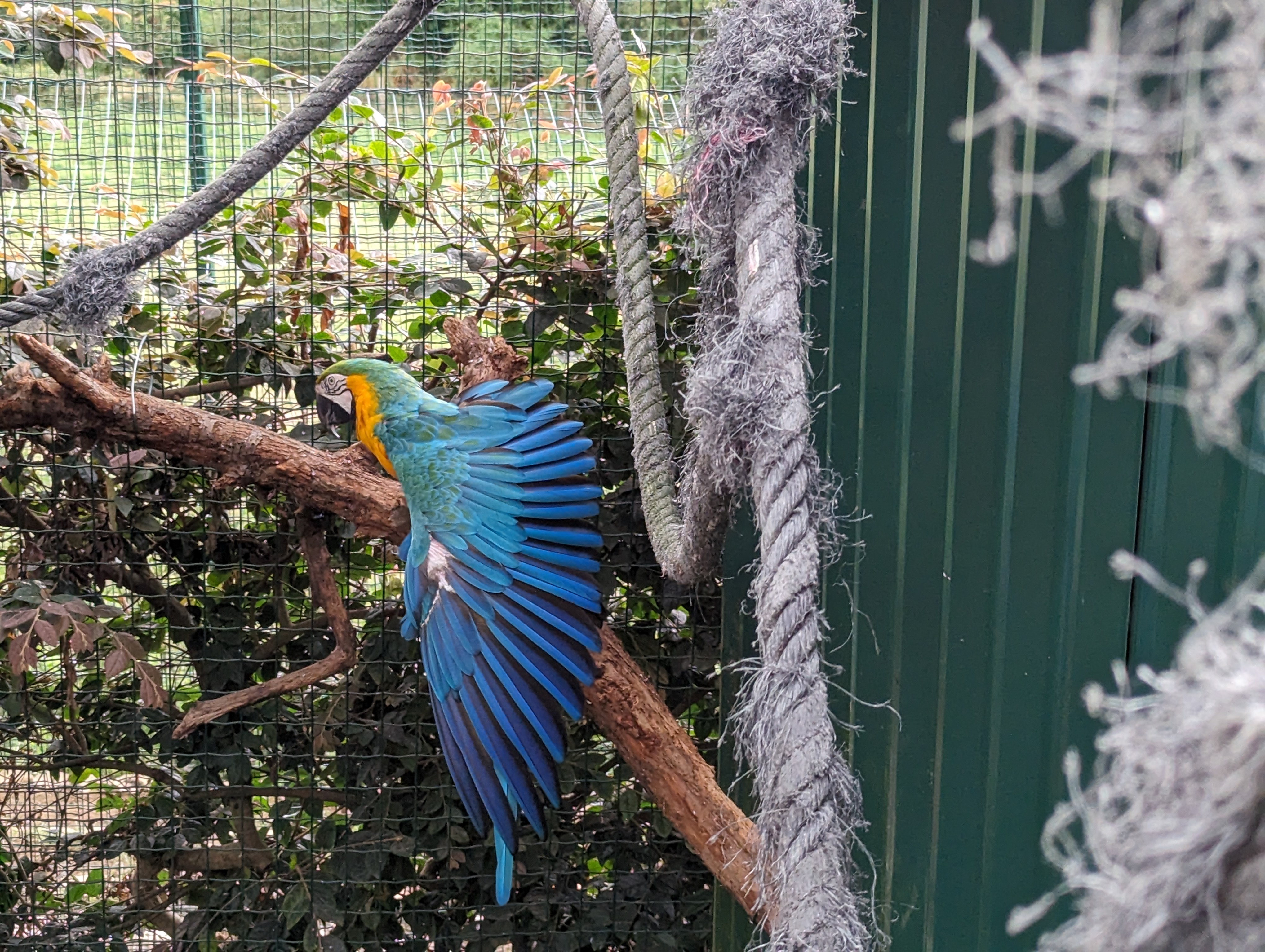 Zoo El Bosque