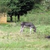 PXL_20230827_142301273.jpg