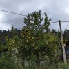 PXL_20230827_143214133.jpg