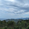 PXL_20230903_135051747.jpg