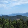 PXL_20230903_140245719.jpg