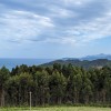 PXL_20230903_140249546.jpg
