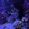 PXL_20231203_122554873.jpg