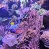 PXL_20231203_123436016.jpg