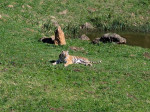 Parque de la Naturaleza de Cabárceno Parque de la Naturaleza de Cabárceno