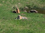 Parque de la Naturaleza de Cabárceno